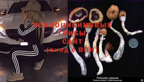 mdpv Тында