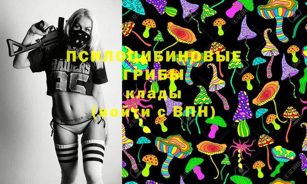 круглые Туринск