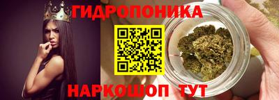 apvp Волжский