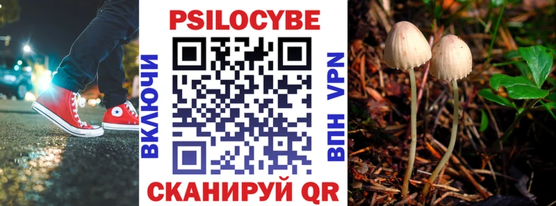 Псилоцибиновые грибы ЛСД  mega зеркало  Тавда 